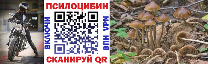 дарк нет как зайти  даркнет сайт  Сковородино  Галлюциногенные грибы Magic Shrooms 